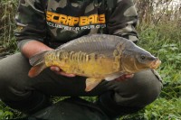 /album/elite-carp-13/a13a-jpg/